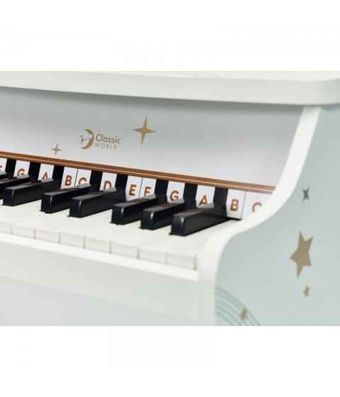 CLASSIC WORLD medinis pianinas vaikams + mokymosi knyga