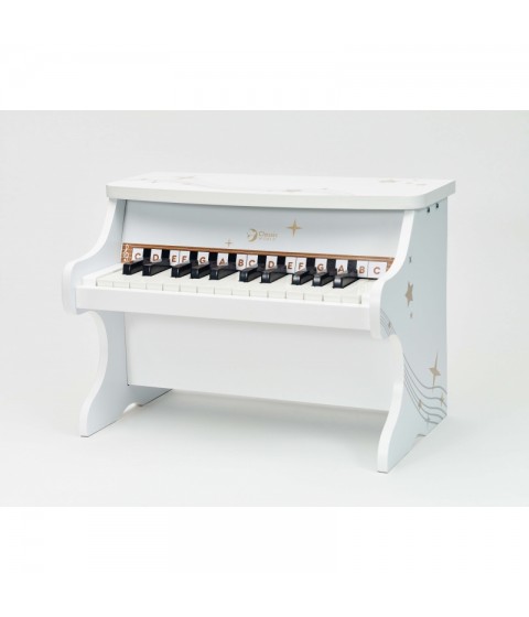 CLASSIC WORLD medinis pianinas vaikams + mokymosi knyga