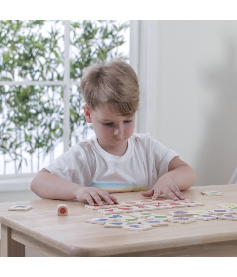 VIGA edukacinė medinė dėlionė, rūšiuoti, derinti spalvas ir formas, 38 detalės, Montessori