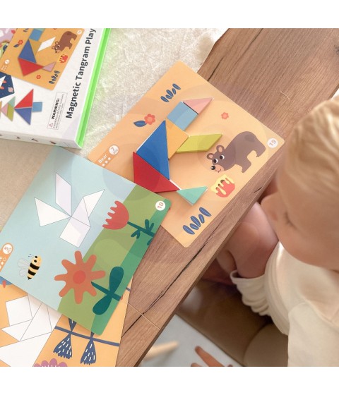 TOOKY TOY Tangram dėlionė Dėlionė vaikams Lavinamieji formų skaičiai Formos 18 vnt.