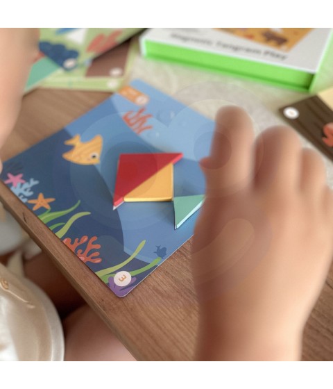 TOOKY TOY Tangram dėlionė Dėlionė vaikams Lavinamieji formų skaičiai Formos 18 vnt.