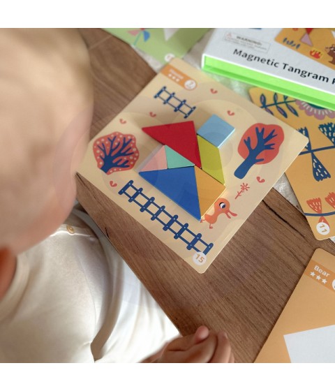 TOOKY TOY Tangram dėlionė Dėlionė vaikams Lavinamieji formų skaičiai Formos 18 vnt.