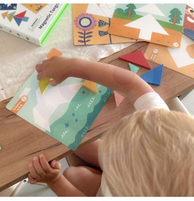 TOOKY TOY Tangram dėlionė Dėlionė vaikams Lavinamieji formų skaičiai Formos 18 vnt.