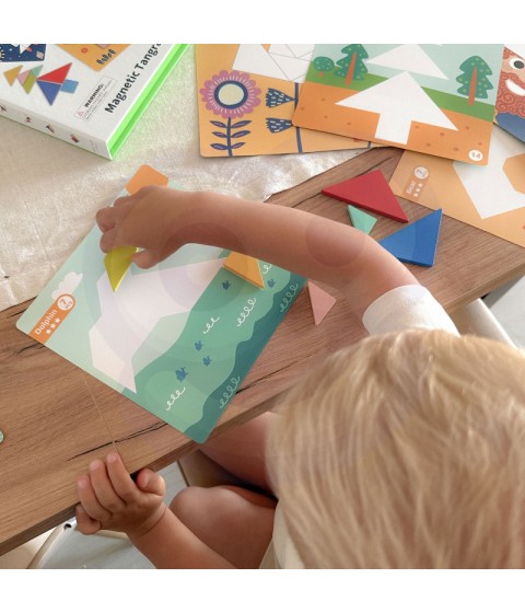 TOOKY TOY Tangram dėlionė Dėlionė vaikams Lavinamieji formų skaičiai Formos 18 vnt.