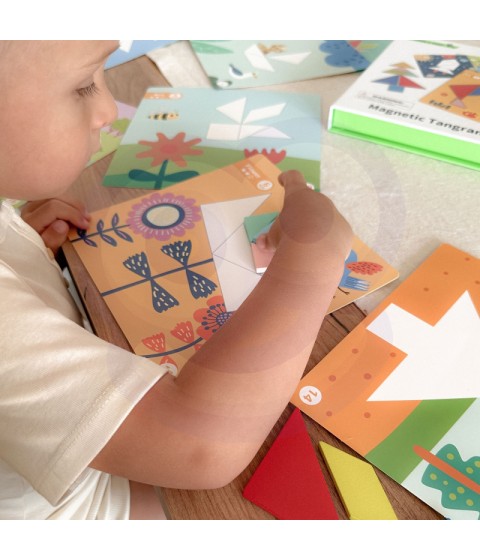 TOOKY TOY Tangram dėlionė Dėlionė vaikams Lavinamieji formų skaičiai Formos 18 vnt.