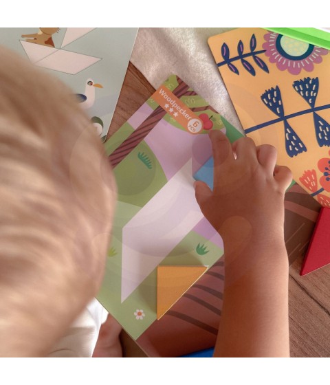TOOKY TOY Tangram dėlionė Dėlionė vaikams Lavinamieji formų skaičiai Formos 18 vnt.