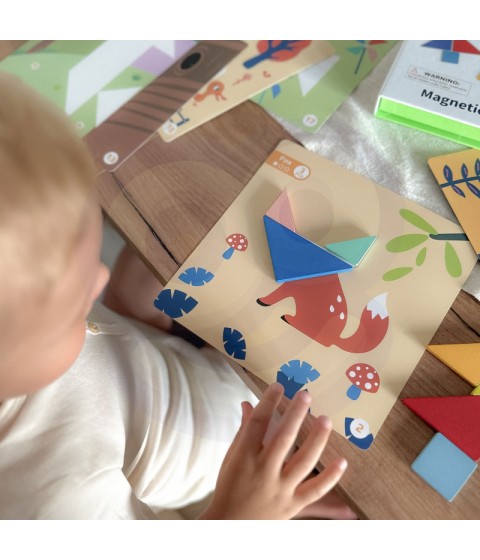 TOOKY TOY Tangram dėlionė Dėlionė vaikams Lavinamieji formų skaičiai Formos 18 vnt.