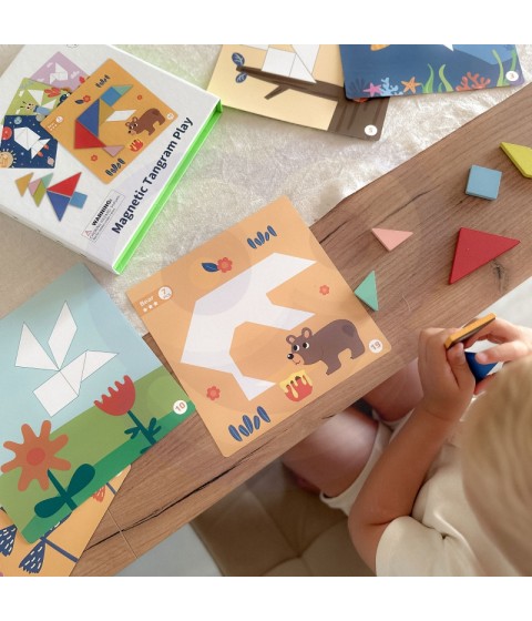 TOOKY TOY Tangram dėlionė Dėlionė vaikams Lavinamieji formų skaičiai Formos 18 vnt.