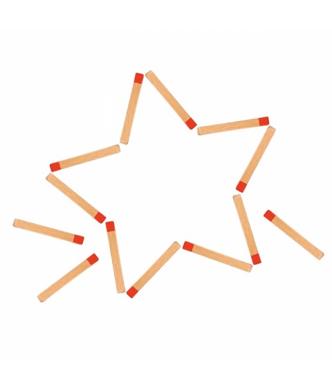 TOOKY TOY Medinis Montessori dėlionės loginis žaidimas Dėlionės Magnetiniai degtukai vaikams 58 vnt.