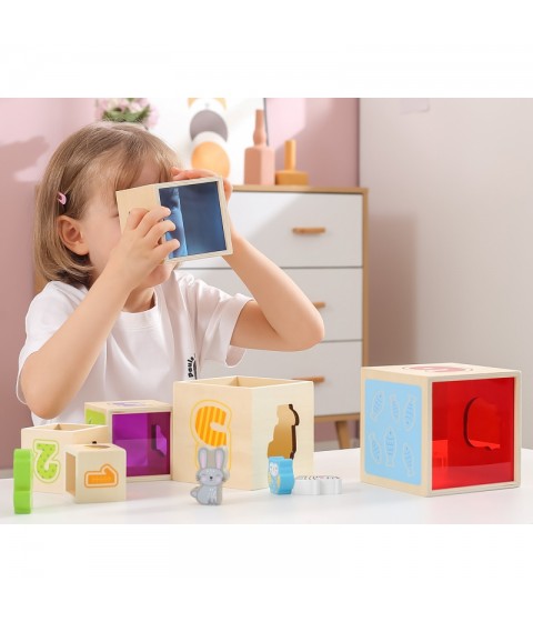 VIGA medinės piramidės dėlionės kaladėlių rūšiavimo sistema Montessori