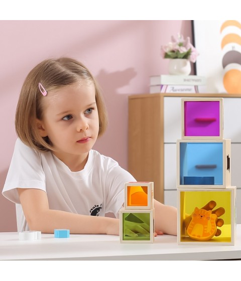 VIGA medinės piramidės dėlionės kaladėlių rūšiavimo sistema Montessori