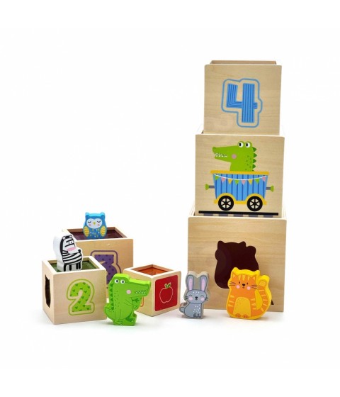 VIGA medinės piramidės dėlionės kaladėlių rūšiavimo sistema Montessori