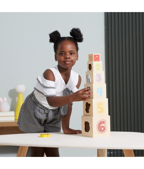 VIGA medinės piramidės dėlionės kaladėlių rūšiavimo sistema Montessori
