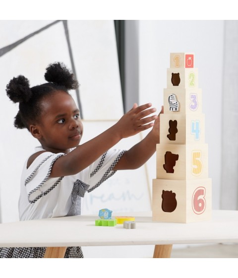 VIGA medinės piramidės dėlionės kaladėlių rūšiavimo sistema Montessori