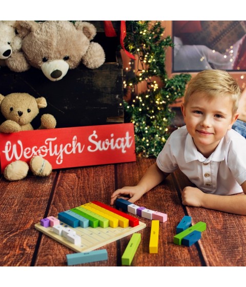 TOOKY TOY medinė matematikos lenta, mokomoji skaičiavimo lenta