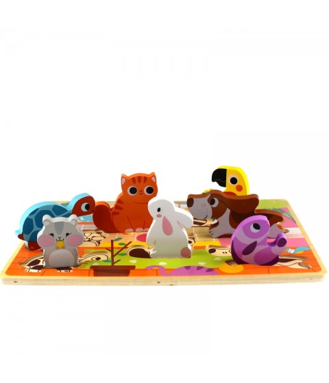 TOOKY TOY medinis Montessori dėlionės gyvūnams, namams, atitinkančioms formas