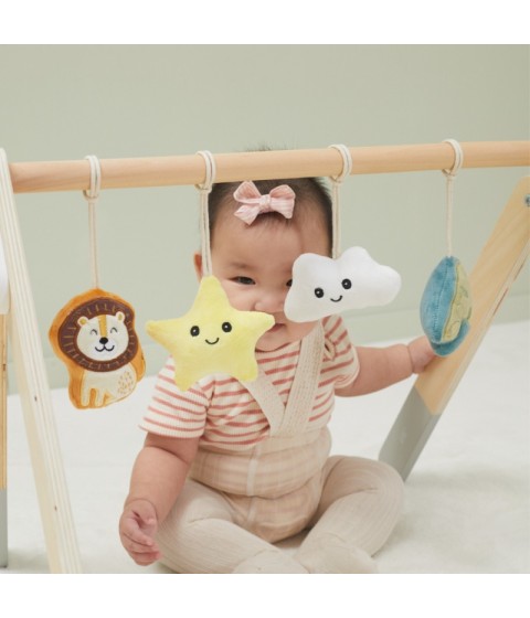 VIGA PolarB Baby Gym stovas kūdikiams