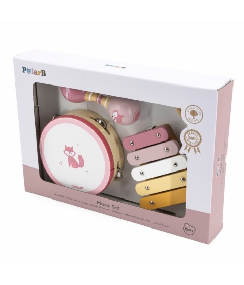 VIGA PolarB muzikos instrumentų rinkinys, rožinis