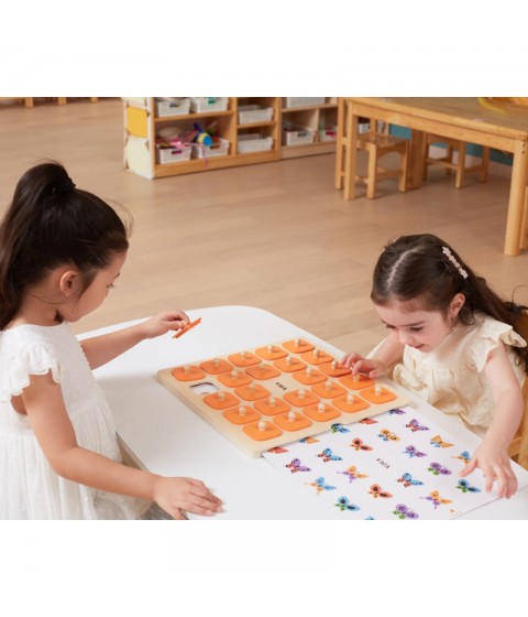 VIGA atminties žaidimas „Atspėk paveikslėlius“, 10 didelių Montessori kortelių