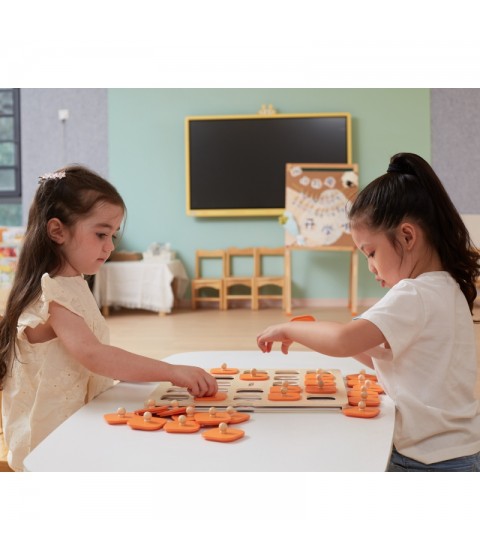 VIGA atminties žaidimas „Atspėk paveikslėlius“, 10 didelių Montessori kortelių