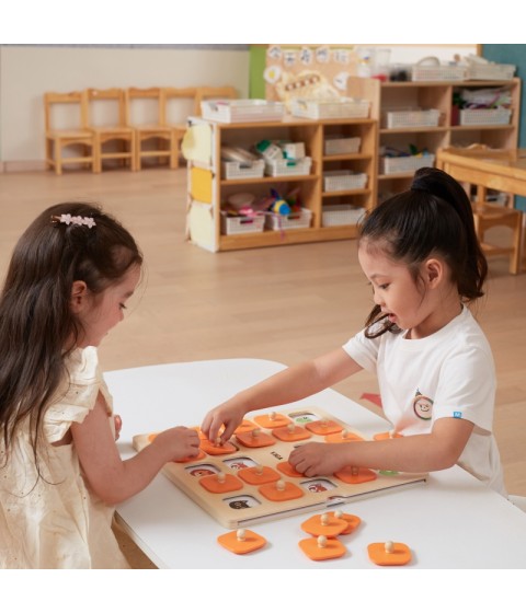 VIGA atminties žaidimas „Atspėk paveikslėlius“, 10 didelių Montessori kortelių