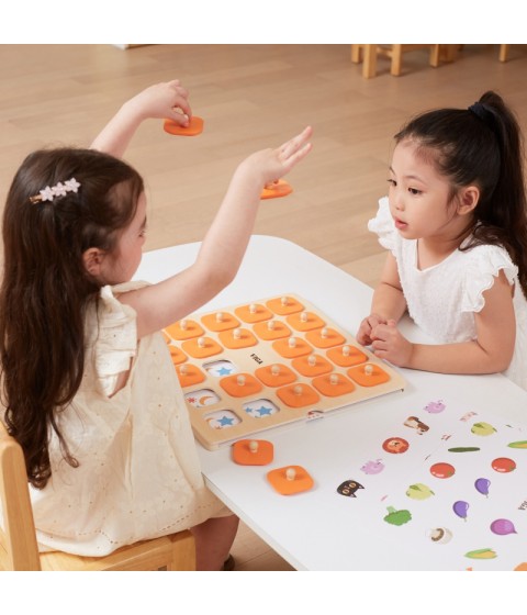 VIGA atminties žaidimas „Atspėk paveikslėlius“, 10 didelių Montessori kortelių