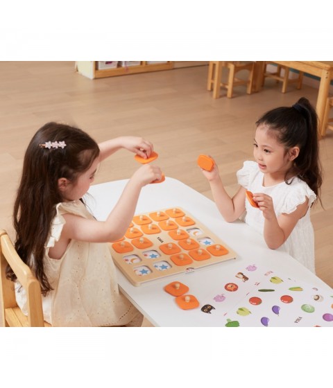 VIGA atminties žaidimas „Atspėk paveikslėlius“, 10 didelių Montessori kortelių