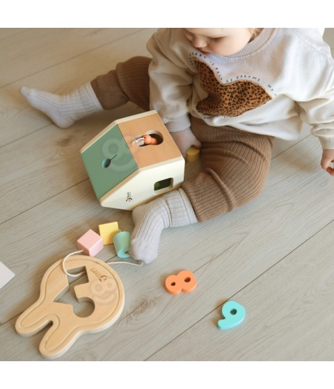 CLASSIC WORLD Pastel Baby Box Pirmieji mokymosi žaislai nuo 12 iki 18 mėnesių