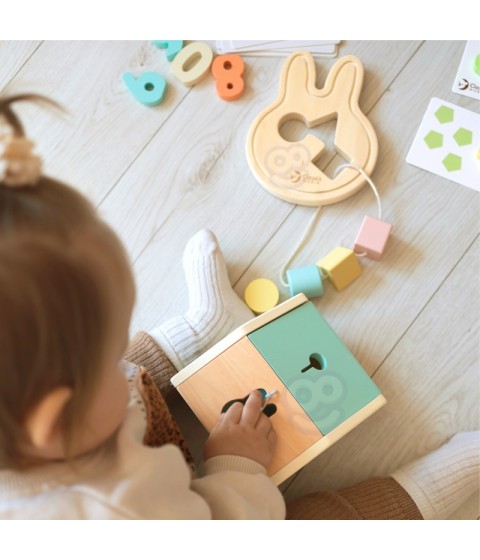 CLASSIC WORLD Pastel Baby Box Pirmieji mokymosi žaislai nuo 12 iki 18 mėnesių
