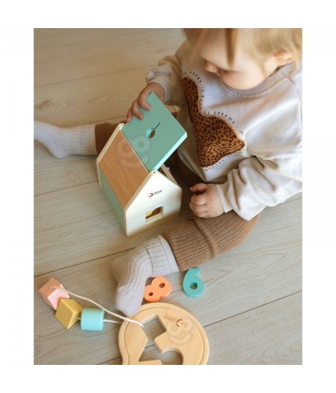 CLASSIC WORLD Pastel Baby Box Pirmieji mokymosi žaislai nuo 12 iki 18 mėnesių