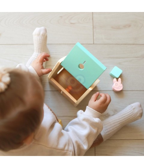 CLASSIC WORLD Pastel Baby Box Pirmieji mokymosi žaislai nuo 12 iki 18 mėnesių