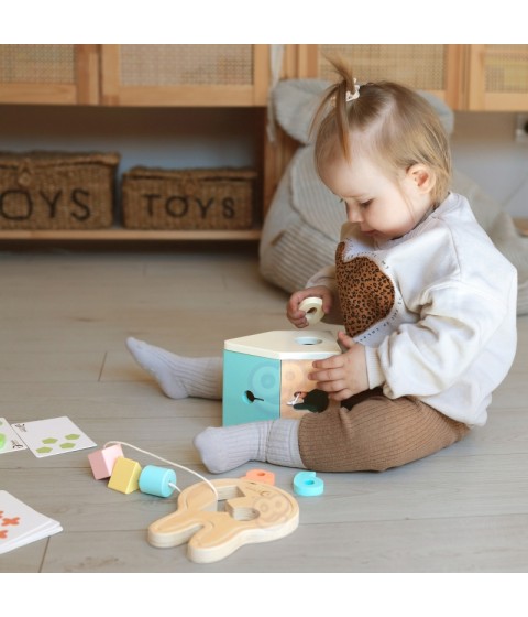 CLASSIC WORLD Pastel Baby Box Pirmieji mokymosi žaislai nuo 12 iki 18 mėnesių
