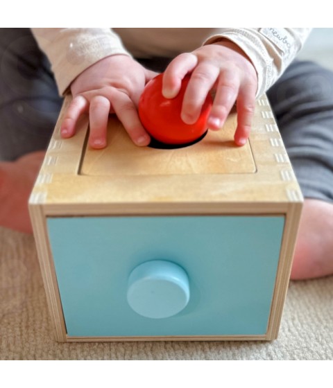 WOOPIE GREEN medinis edukacinis stalčius 4 viename Montessori morkų rūšiavimo žaidimas FSC