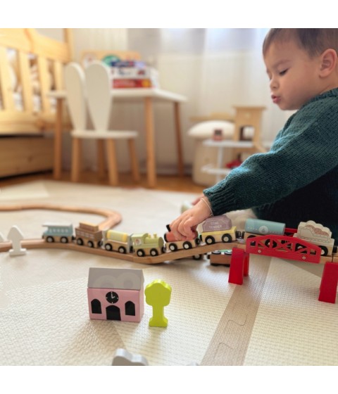 TOOKY TOY mediniai magnetiniai vežimėliai
