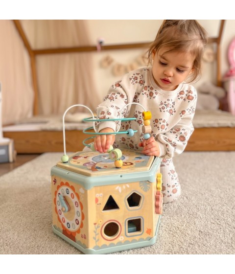 TOOKY TOY interaktyvi medinė Montessori šešiakampė atidaroma dėžutė