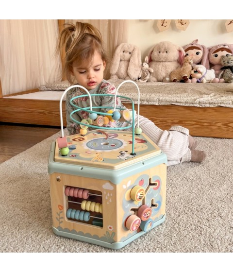 TOOKY TOY interaktyvi medinė Montessori šešiakampė atidaroma dėžutė