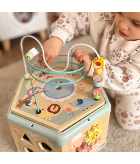 TOOKY TOY interaktyvi medinė Montessori šešiakampė atidaroma dėžutė