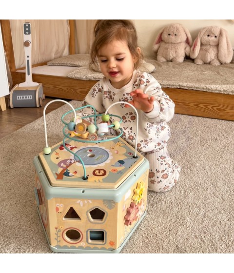 TOOKY TOY interaktyvi medinė Montessori šešiakampė atidaroma dėžutė