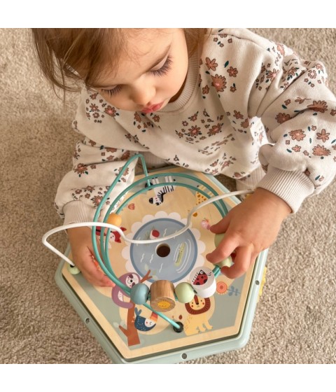 TOOKY TOY interaktyvi medinė Montessori šešiakampė atidaroma dėžutė