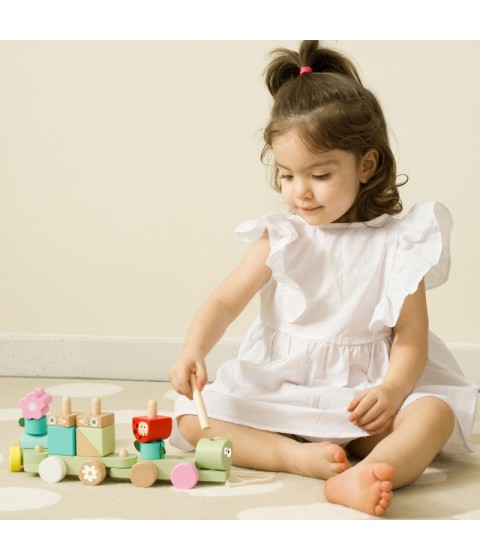 CLASSIC WORLD Montessori medinis vikšro traukinio dėlionė