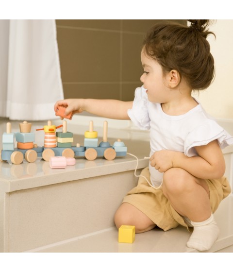 CLASSIC WORLD Montessori vandenyno geležinkelio medinė dėlionė