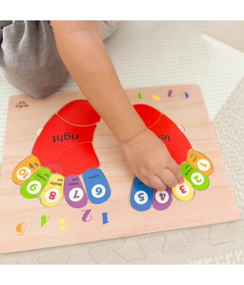 TOOKY TOY Edukacinis medinis dėlionės žaidimas „Pėda“ su skaičiavimo ir spalvų mokymusi