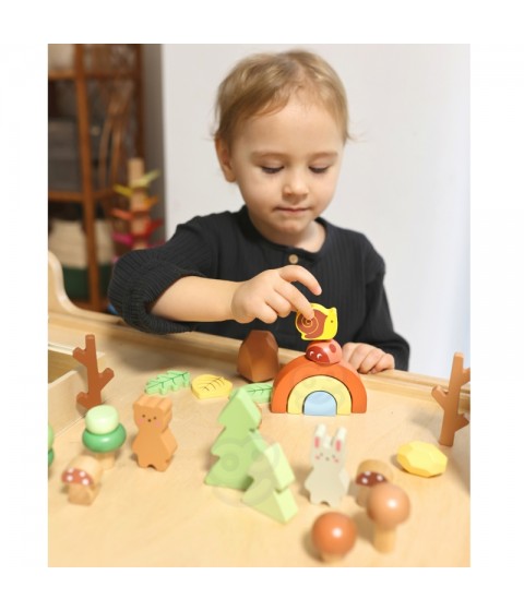 TOOKY TOY ŽAISLŲ Miško Rinkinys Sudedamos Dėlionės Kaladėlės Figūrėlės