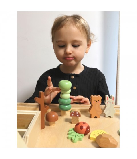TOOKY TOY Miško rinkinys dėlionės kaladėlių figūrėlės