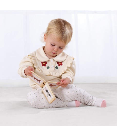 TOOKY TOY Žaislų dėžutė XXL Montessori edukacinė 6in1 sensorinė dėžutė 7-8 mėn.