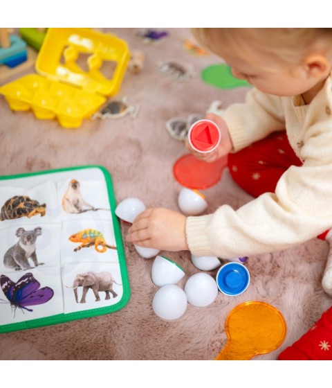TOOKY TOY Žaislų dėžutė XXL Montessori edukacinė 7in1 sensorinė dėžutė 25-30 mėnesių