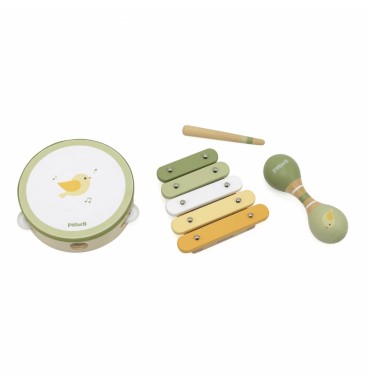 VIGA PolarB muzikos instrumentų rinkinys su paukščiu