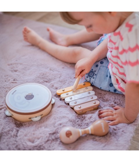 VIGA PolarB muzikos instrumentų rinkinys su paukščiu