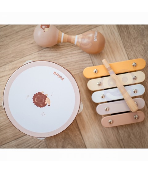 VIGA PolarB muzikos instrumentų rinkinys su paukščiu