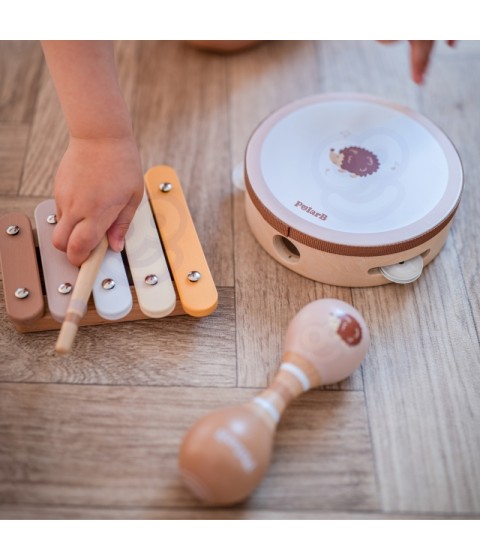 VIGA PolarB muzikos instrumentų rinkinys su paukščiu